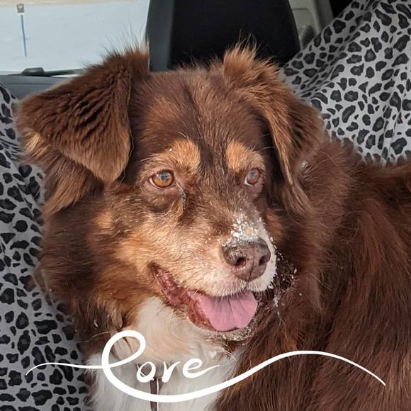 Meet your Posher, Kathie - Picture 1 of 1